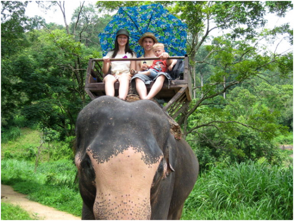 Elephant Rides, Cambodia (creative commons)