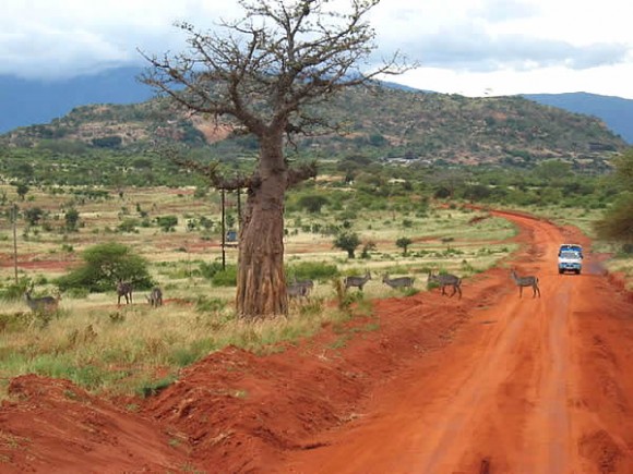Tsavo East National Park, Kenya. Author Simone Roda. Licensed under the Creative Commons Attribution