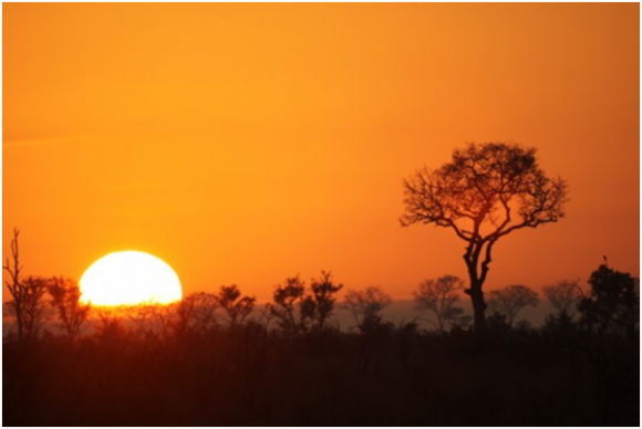 Sunset at Kruger National Park  (Creative Commons) 