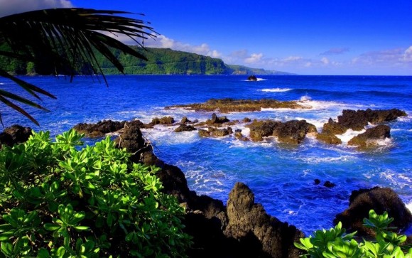 Maui, Hawaii (creative commons)