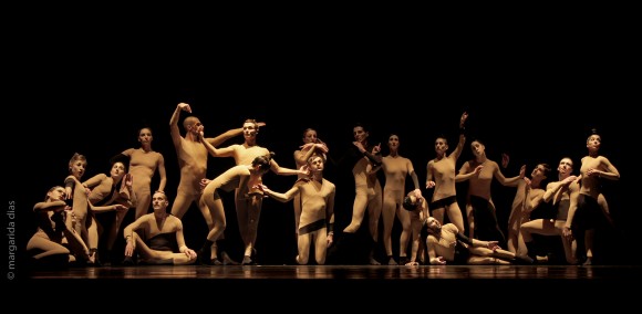 Dance in August, 2011 edition (www.modul-dance.eu)