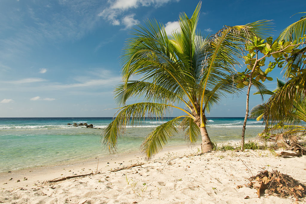 Barbados has Beach Locations Not to Miss in Your Lifetime